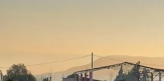 Dramática realidad: Alrededor de 400 animales abandonados es el saldo que deja desalojo de toma «17 de mayo» en Cerro Navia