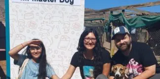 Buenas noticias: 8 perros del Refugio Esperanza de Mirada Animal Chile encontraron un hogar y familia responsable en abril