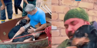 Hombres se emocionan al poder salvar a sus perros en medio de las inundaciones que azotan la región de Porto Alegre, en Brasil