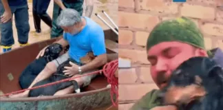 Hombres se emocionan al poder salvar a sus perros en medio de las inundaciones que azotan la región de Porto Alegre, en Brasil