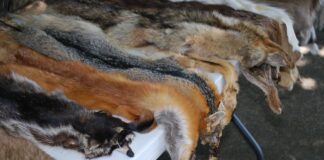 Camila sigue los pasos de Isabel II y dejará de comprar prendas de piel de animales: «Es correcto y apropiado»