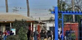 50 vacunas antirrábicas y 20 micro chips fueron instalados a animales de compañia en Villa Lomas de Mirasur de San Bernardo