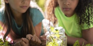 Mi Patio es el Mundo 2024: Cultivando un futuro sostenible desde la primera infancia