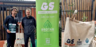 Por la reforestación de nuestros barrios: Villa de San Bernardo resultó beneficiada con donación de árboles, gracias a programa Brotar