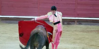 Malas noticias: Comunidad de Madrid compromete apoyo para el desarrollo de la tauromaquía, con aportes de hasta 3.000 euros