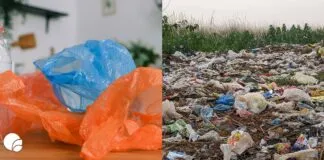 Día internacional sin bolsas plásticas: el énfasis en el ciclo productivo y no solo en su uso ( Opinión)
