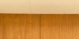 De Chile al mundo: Adolescentes chilenas viajarán a Silicon Valley tras crear Greens, app medio ambiental, para disputar torneo internacional