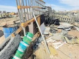 Horrible: 24 perros mueren tras incendio que afectó a refugio en Calama