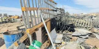 Horrible: 24 perros mueren tras incendio que afectó a refugio en Calama