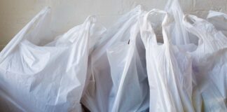 Cada año se utilizan alrededor de 500.000 millones de bolsas plásticas en el mundo