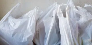 Cada año se utilizan alrededor de 500.000 millones de bolsas plásticas en el mundo