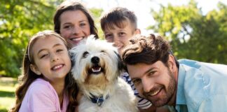 Hacen llamado a participar en consulta ciudadana con el fin de que los derechos de los animales sean incluídos en los programas curriculares nacionales