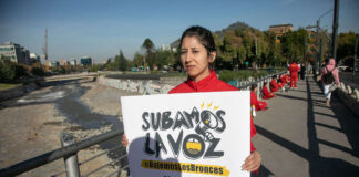 “Subamos la voz”: el festival cultural de Greenpeace anuncia sus primeros artistas confirmados