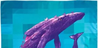 Lush y Plastics Oceans se unen para concientizar sobre el cuidado de los océanos y la vida marina