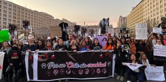 Agrupaciones del mundo de la protección animal llaman a vivir un septiembre sin tradiciones de crueldad animal