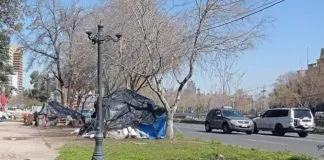 Municipalidad anuncia investigación para determinar eventuales responsabilidades funcionarias en muerte de animales durante retiro de ruco en San Bernardo