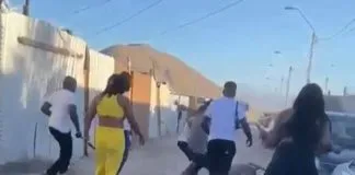 Condenan a sujeto en Copiapó por el delito de maltrato animal