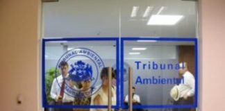 Segundo Tribunal Ambiental determinó que observaciones ciudadanas al proyecto fotovoltaico La Greda fueron correctamente consideradas