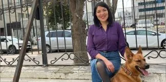 DARE por abuso sexual contra animal en Valparaíso: “No es un caso nuevo, lo hemos denunciado»