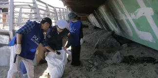 Más de 400 kilos de desechos se recogieron en limpieza de Playa Caleta Abarca