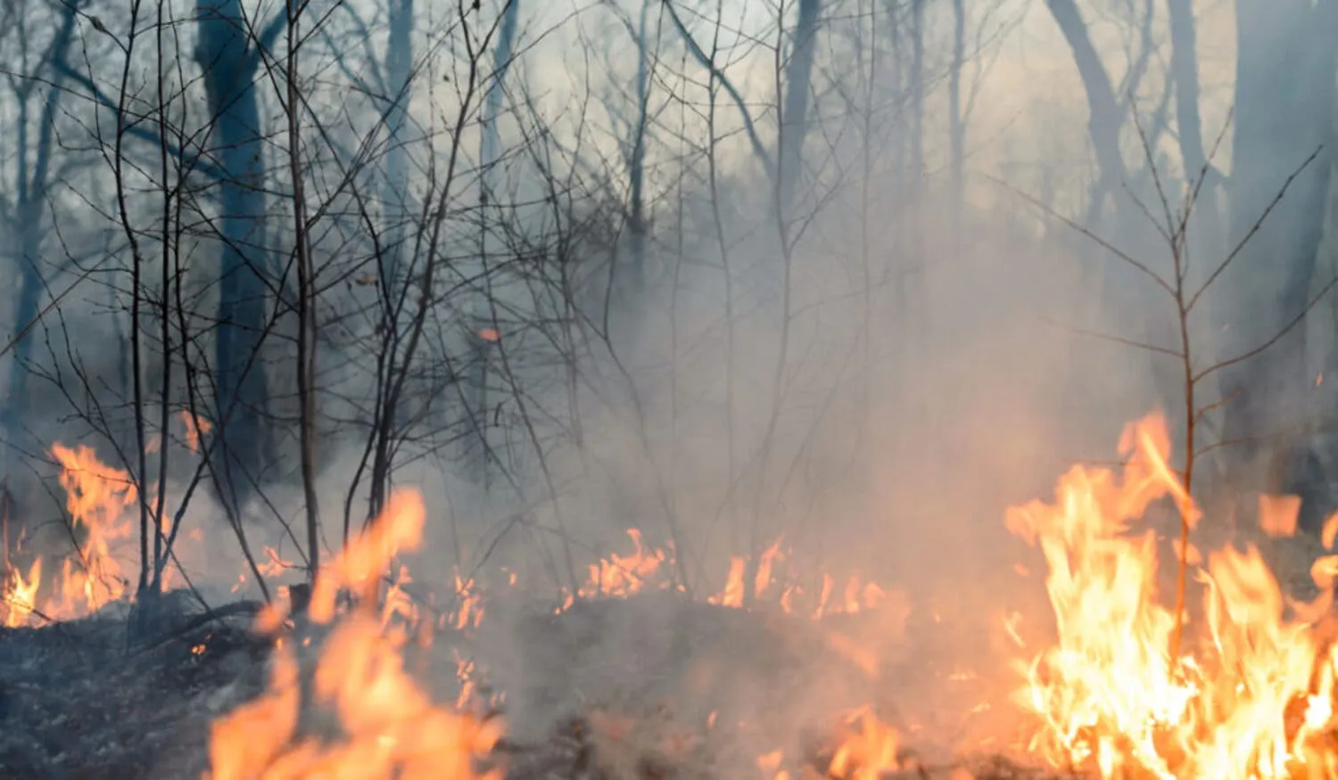Terremotos, erupciones, volcánicas, incendios y sequía: ¿Cómo mejorar la respuesta de Chile frente a emergencias?