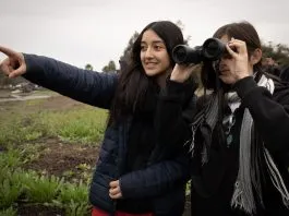 Jóvenes de Las Cabras descubren la biodiversidad de su humedal con el apoyo de la UOH