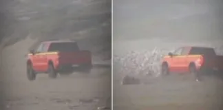 Fiscalía inicia investigación de oficio a causa de atropello intencional de aves en playa de Quintero, protagonizado por conductor que manejaba una camioneta