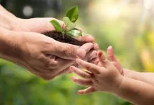 Día de la Tierra: la alimentación basada en plantas como una herramienta clave para cuidar el planeta