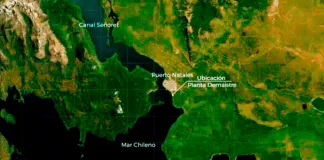 Tribunal rechazó la reclamación contra la SMA que archivó denuncias de Planta Procesadora Puerto Demaistre en Magallanes