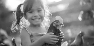 Salud humana, animal y ambiental: rompecabezas incompleto en la prevención de pandemias