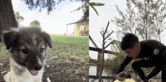 Deportista rescata perrita abandonada en una isla solitaria