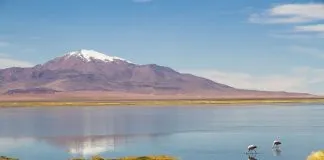 Peligran los ecosistemas más frágiles del norte de Chile, denuncia Fundación Tanti