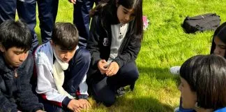 Excelente iniciativa:Crean guía gratuita que explora cómo la naturaleza de la ciudad puede ayudar al bienestar de la juventud