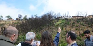 Segundo Tribunal Ambiental inspeccionó Humedal Urbano Entre Cerros de Viña del Mar