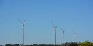 Segundo Tribunal Ambiental aprueba inédita conciliación entre vecinos de Litueche y Statkraft por ejecución de tres proyectos eólicos en la zona