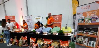 Volvió Home Fest, evento multisectorial de Yapo.cl, con marcado protagonismo de los animales
