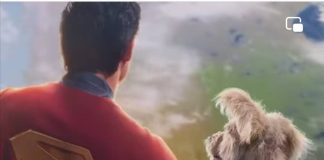 Ozu, el can en que se inspiró el director de la nueva versión de Superman para darle vida a Kripto