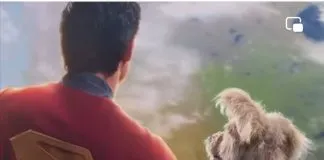 Ozu, el can en que se inspiró el director de la nueva versión de Superman para darle vida a Kripto