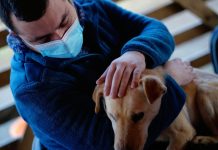 En el Día Nacional del Médico Veterinario, Colmevet hace un llamado a seguir trabajando por el bien de los animales, las personas y la naturaleza