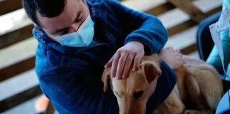 En el Día Nacional del Médico Veterinario, Colmevet hace un llamado a seguir trabajando por el bien de los animales, las personas y la naturaleza
