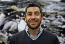 Chileno liderará panel científico en histórica Asamblea de Parlamentarios Antárticos en Nueva Zelanda