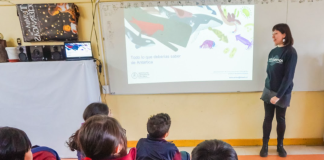 Integran oficialmente el Día de la Antártica Chilena al calendario escolar 2026