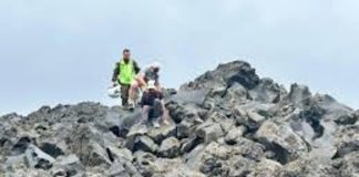 Carabineros multó a turistas que ingresaron al área protegida en La Lobería en Cobquecura