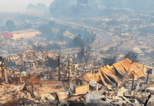 Colmevet activa cadenas de apoyo frente a los incendios que están afectando a las regiones de Ñuble y Bío Bio