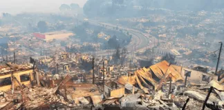 Colmevet activa cadenas de apoyo frente a los incendios que están afectando a las regiones de Ñuble y Bío Bio