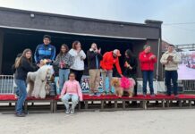 Cientos de personas y sus animales de compañia disfrutaron de una nueva edición del “Festival de Patitas” en Villa Alemana