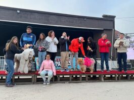 Cientos de personas y sus animales de compañia disfrutaron de una nueva edición del “Festival de Patitas” en Villa Alemana