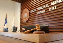 Tribunal Ambiental confirmó rechazo de Programa de Cumplimiento de Piscicultura Chesque Alto por eludir el ingreso al SEIA