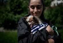 Muere Lazare, el perro considerado el «más longevo del mundo»