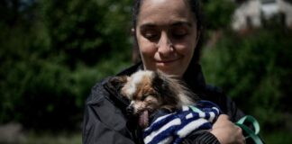 Muere Lazare, el perro considerado el «más longevo del mundo»